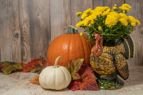 Thanksgiving Decor Pumpkins Chrysanthemums Turkey Shaped Vase — Stock Photo, Image