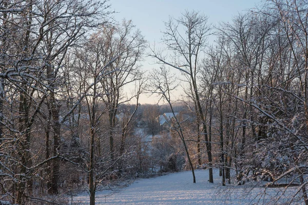 Wiejski Zimowy Wschód Słońca Gołymi Drzewami Śniegiem Ziemi — Zdjęcie stockowe