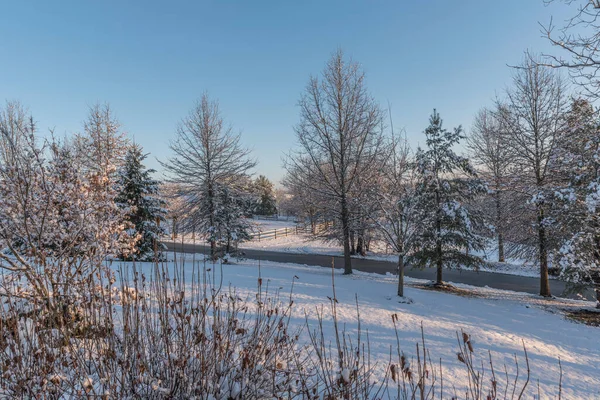 Zimowy Wschód Słońca Wiejskiej Drodze Śniegiem Ziemi — Zdjęcie stockowe