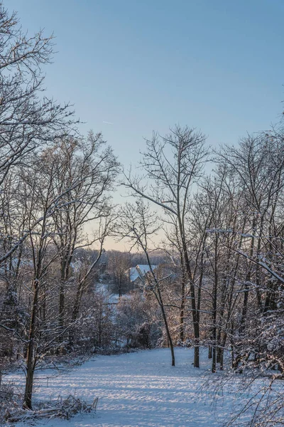 winter morning at sunrise with snow on the ground