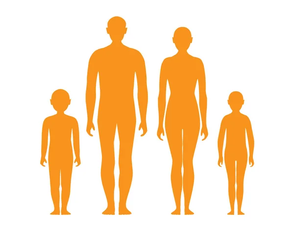 Silhouette Anatomie Corps Humain Position Debout Adulte Mâle Femelle Enfants — Image vectorielle