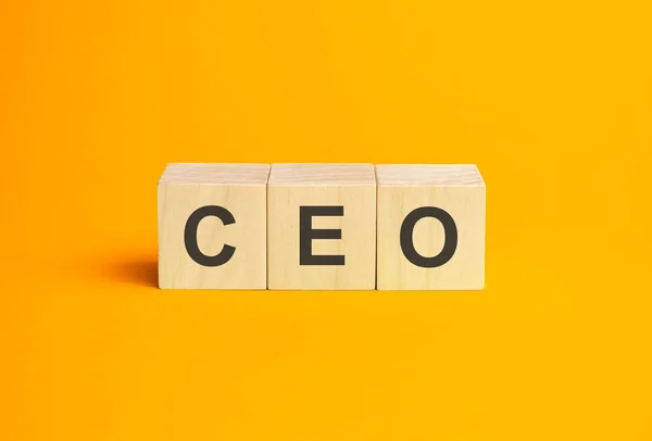 Ceo Signo Cubos Madera Concepto Ceo — Foto de Stock