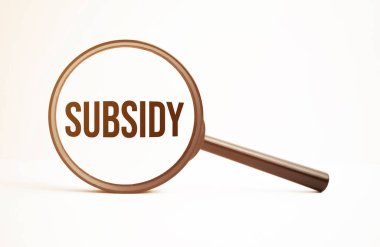 Kalemle arka planda metin SUBSIDY ile büyüteç