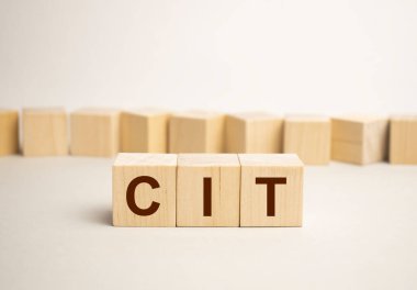 Polonyalı vergi formları ve fayanslardan gelen CIT sözcüğüyle vergi geliri kavramı, Polonya 'da kişisel vergi geliri anlamına geliyor