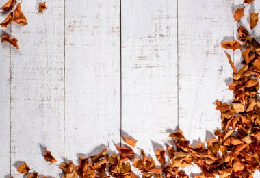 Bakır renkli kuru yapraklara sahip beyaz ahşap arkaplan, metin için boş alan, üst görünüm, boşluk kopyala.