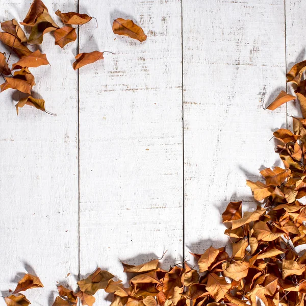 Bakır renkli kuru yapraklara sahip beyaz ahşap arkaplan, metin için boş alan, üst görünüm, boşluk kopyala.