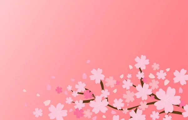 Sakura Rose Doux Avec Espace Vide Milieu Concept Fond Printanier — Image vectorielle