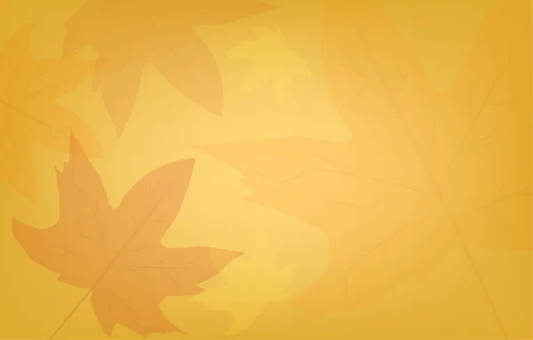 Autumn Background Leaves Golden Yellow Blank Space Frames Banner Fall — Vector de stock
