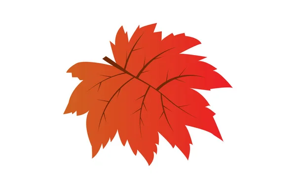 Alte Ahornblätter Rote Blätter Stehen Für Den Herbst Vektor Ahornblatt — Stockvektor