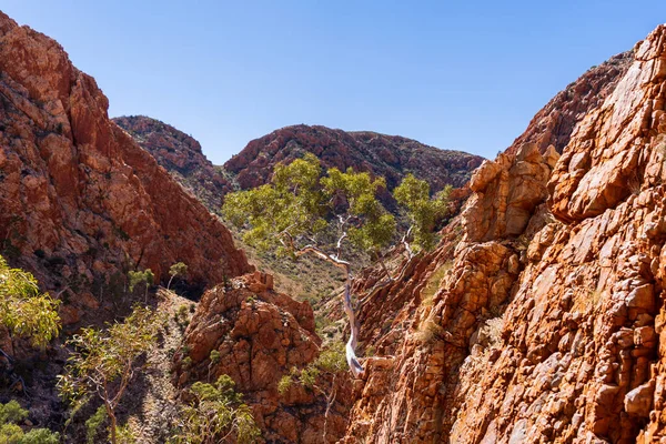 Orta Avustralya 'daki Standley Chasm' daki Larapinta Patikası 'ndaki engebeli arazinin manzarası.
