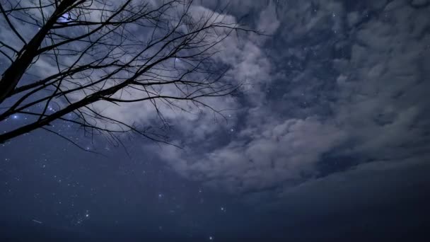 Geminids Meteor Douche Het Noorden Van Australië December 2020 — Stockvideo