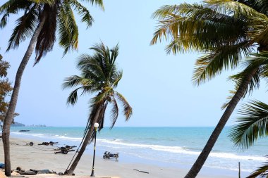 Tayland 'da yaz için deniz manzaralı sahilde hindistan cevizi palmiyesi manzarası. Sakin okyanusta turkuaz su cenneti. 