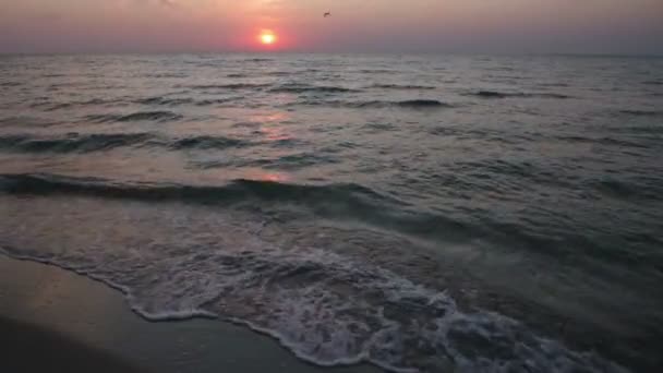 새벽에 바다의 파도는 색깔로 반짝인다 바다에서의 떠오르는 태양은 구름을 색으로 — 비디오