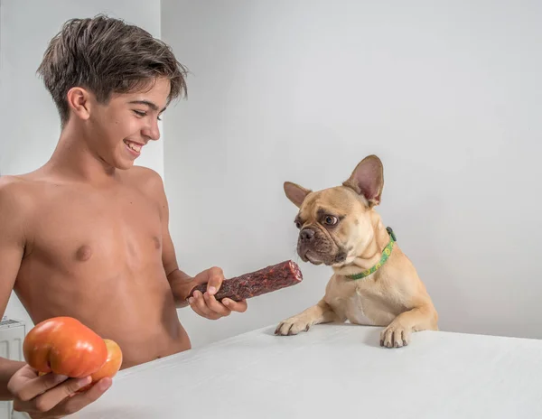 A young man teases a French Bulldog dog with a sausage at a table on a light background.