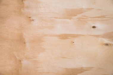 Doğal huş ağacının kaplamasının yakın çekim dokusu.