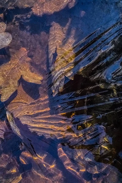 Donuyorum Portakallı Kuru Yapraklı Birikintisi Üzerindeki Güzel Buz — Stok fotoğraf
