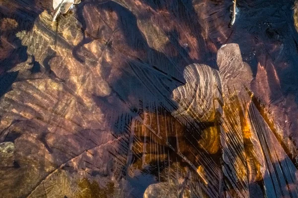 Congelamento Bellissimo Ghiaccio Una Pozzanghera Con Foglie Arancio Secche Vista — Foto Stock