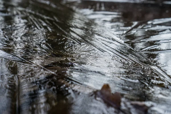 凍った水たまりの中の木々の霜の反射 — ストック写真
