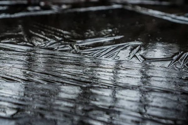 Frost Reflection Trees Frozen Puddle — Stock Photo, Image