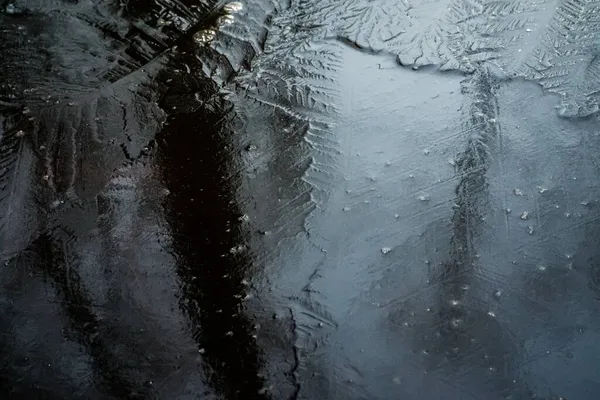 凍えてる 乾燥したオレンジの葉を持つ水たまりの上からの美しい氷 トップビュー — ストック写真