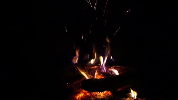 A tűz éjszaka ég. Lángok és szikrák szállnak az éjszakába. — Stock videók
