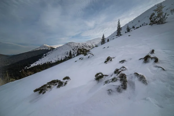 Winterbergen Met Sneeuw Onder Een Donkere Winterhemel — Stockfoto