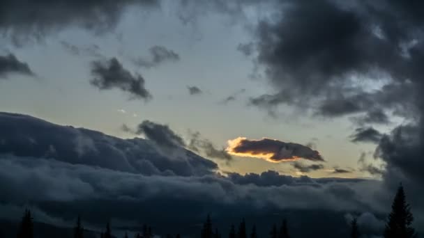Formation Dark Clouds Illuminated Sun Fir Trees Mountains Background Stormy — Stockvideo