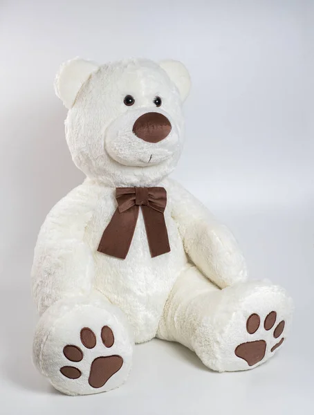 Іграшковий білий ведмідь. М'яка іграшка на білому тлі . — стокове фото