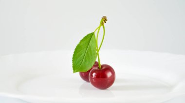 İki taze kiraz yeşil yapraklı bir bacağa bağlanmış..