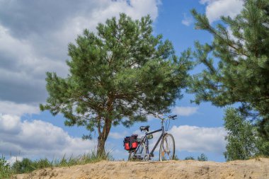 Bisiklet bir orman gölünün kumlu sahilinde duruyor ayrı bir çam ağacının altında, mavi bir gökyüzüne karşı..