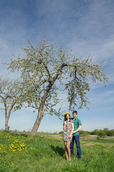 Baharın Mavi Gökyüzünün Arka Planında Çiçek Açan Bir Ağacın Yanında — Stok fotoğraf