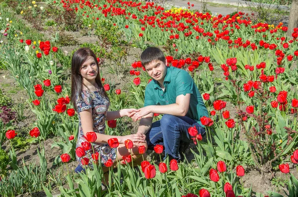 Kochająca Para Ogrodzie Wśród Kwitnących Czerwonych Tulipanów — Zdjęcie stockowe