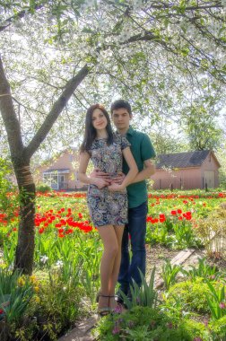 Bahçede çiçek açan kırmızı lalelerin arasında sevgi dolu bir çift..