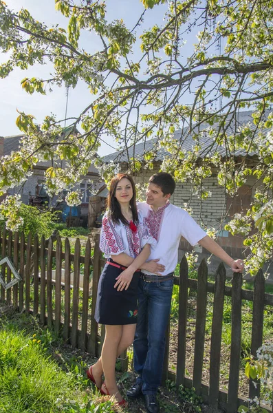 在春天的花园里 一对穿着白色绣花衬衫的年轻夫妇站在一棵开花的树上 — 图库照片