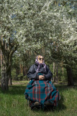 Tekerlekli sandalyedeki yalnız yaşlı kadın, sıcak bir battaniyeye sarılmış, bir bahar çiçeği ağacının altında.