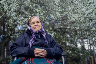 Tekerlekli sandalyedeki yalnız yaşlı kadın, sıcak bir battaniyeye sarılmış, bir bahar çiçeği ağacının altında.