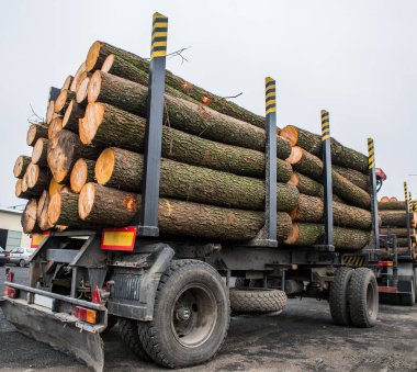Bir kamyon römorkunun tahta kütükleri..