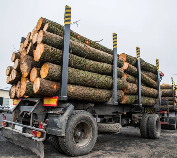Bir kamyon römorkunun tahta kütükleri..