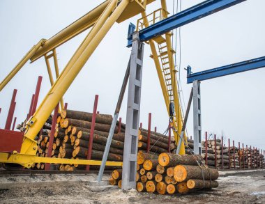 Ahşap endüstrisi. Keresteyi vinçle boşalt.