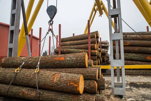 Ahşap endüstrisi. Keresteyi vinçle boşalt.