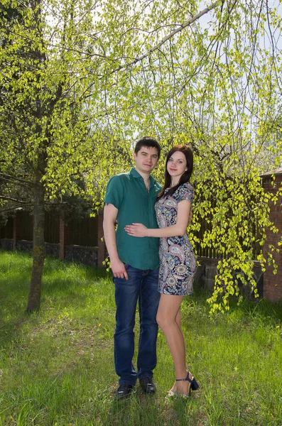 Birbirine aşık bir çift, bir adam ve bir kadın huş ağacının dalları arasında genç bahar yeşil yapraklarıyla.