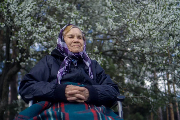 Bebek arabasında yalnız yaşlı bir kadın, sıcak bir battaniyeye sarılmış, bir bahar çiçeği ağacının altında..