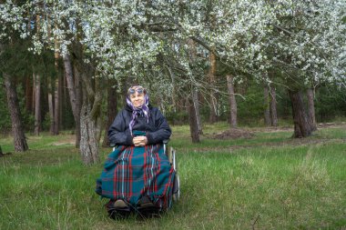 Bebek arabasında yalnız yaşlı bir kadın, sıcak bir battaniyeye sarılmış, bir bahar çiçeği ağacının altında..
