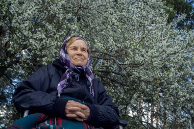 Bebek arabasında yalnız yaşlı bir kadın, sıcak bir battaniyeye sarılmış, bir bahar çiçeği ağacının altında..