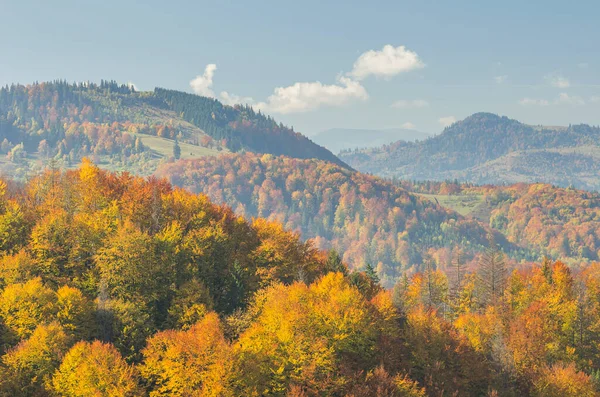 Dağlardaki renkli sonbahar ağaçları. Değişik sıcak renklere sahip manzara.