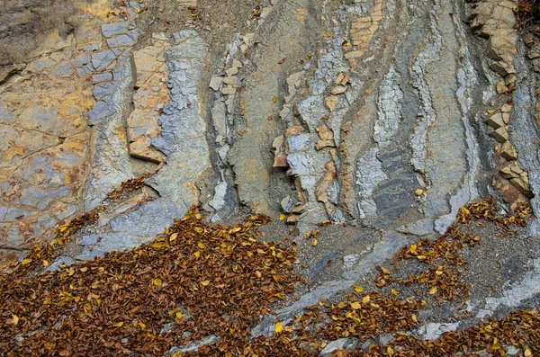 Karge Klippe Mit Vulkanischem Gestein Und Abgefallenen Herbstblättern — Stockfoto