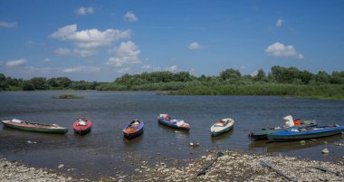 Saf bir dağ nehrinin kıyısında çok renkli kanolar..