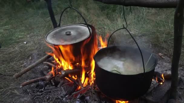 Soup Tourists Prepared Fire Pot — 图库视频影像