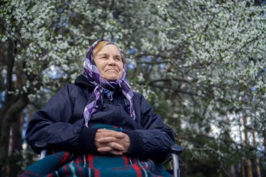 Bebek arabasında yalnız yaşlı bir kadın, sıcak bir battaniyeye sarılmış, bir bahar çiçeği ağacının altında..