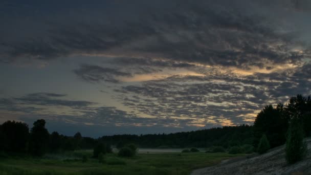 Sonnenaufgang Auf Der Flussaue Pferde Grasen Morgennebel Auf Der Weide — Stockvideo